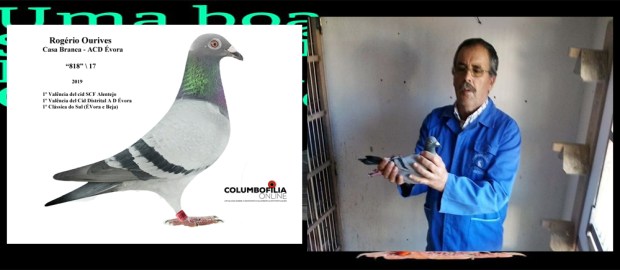 destaque rogerio ourives