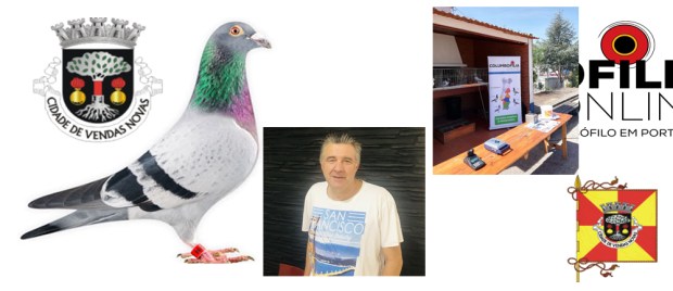 destaque vendas novas