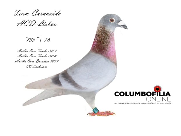 lilas team carnaxide.jpg