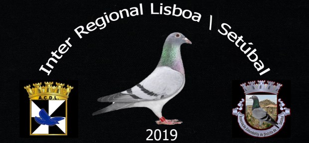 logotipo inter regional lisboa setubal.jpg