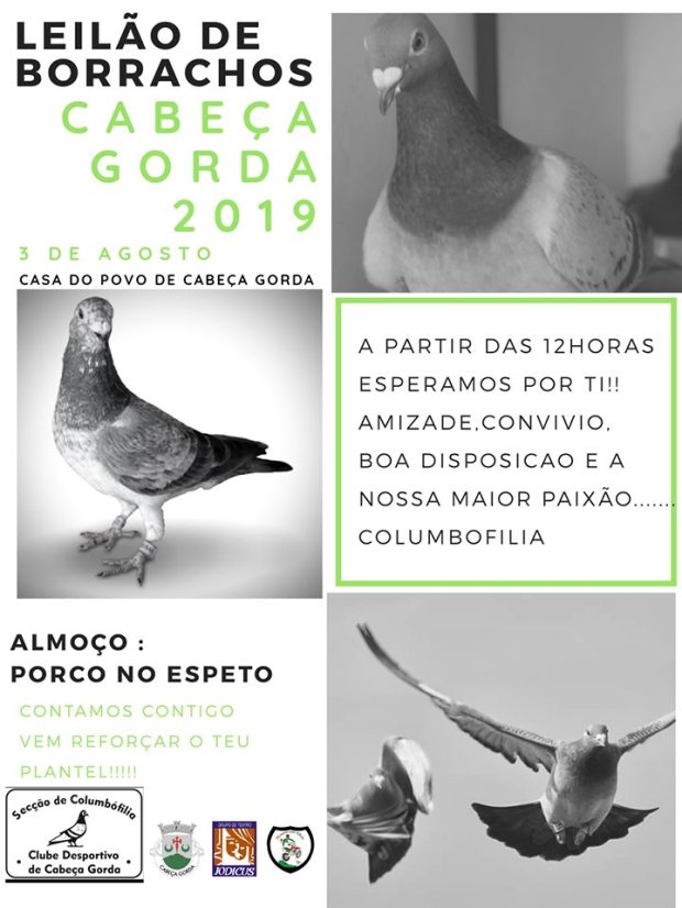 cabeça gorda.jpg