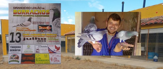 destaque almodover CO 2019