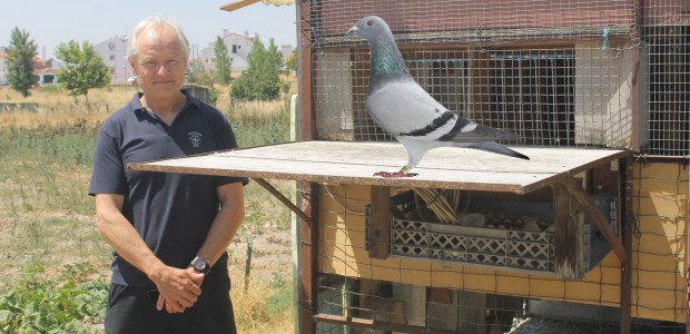 destaque faustino co 2019.jpg