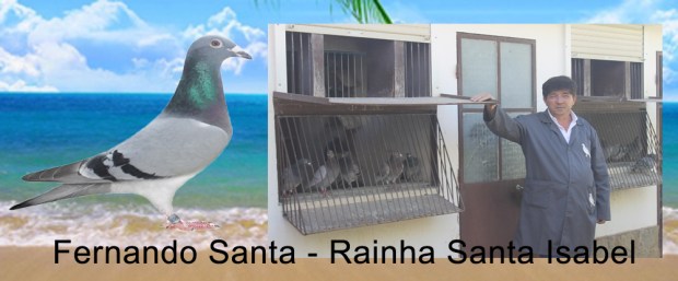 destaque fernando santa 2019