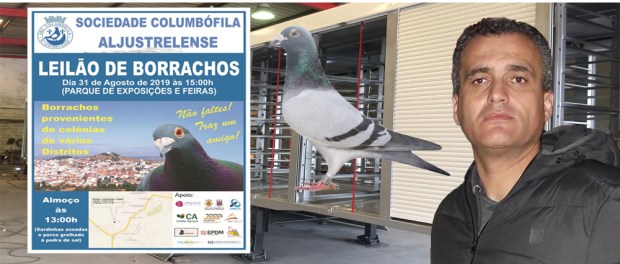 destaque leilao aljustrel 2019