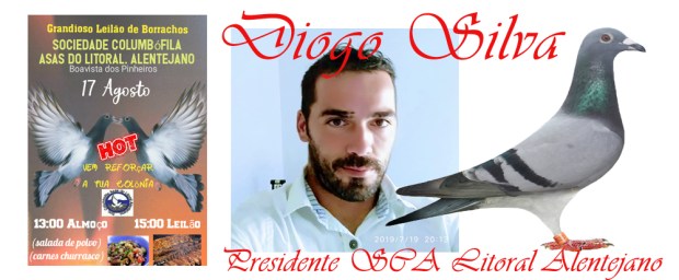 leilao litoral alentajano 2019