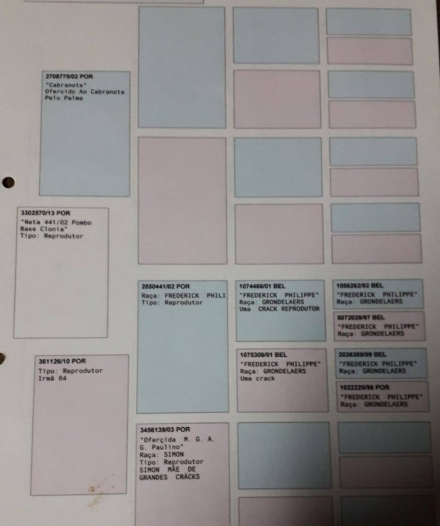 PHOTO-2019-07-03-09-43-49