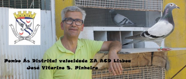 destaque jose vitorino co 2019