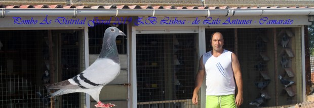 destaque luis antunes co camarate 2019