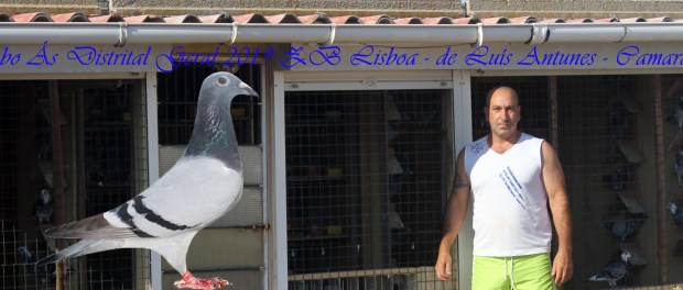 destaque luis antunes co camarate 2019