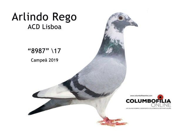 campea arlindo Rego 2019 co
