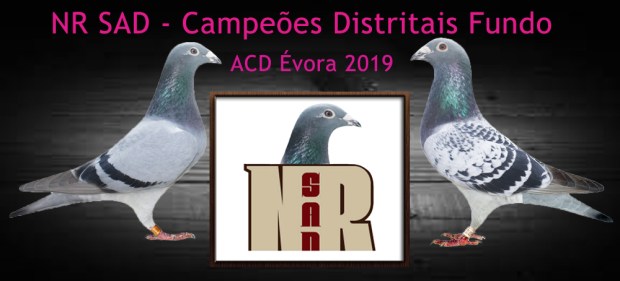 destaque nrsad 2019