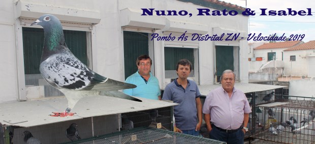 destaque nuno rato e isabel 2019