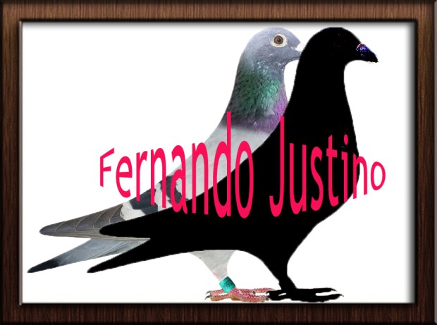 logotipo justino.jpg