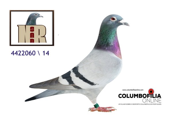 m4422060