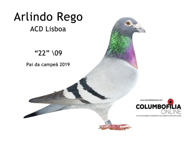 pai da campea arlindo rego 2019