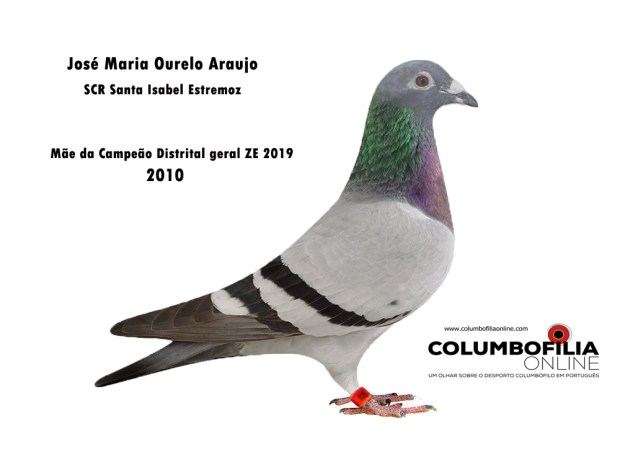 araujo mae da craque 2019.jpg