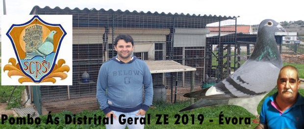 destaque araujo 2019