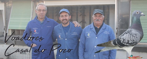 destaque cdasal poço co 19