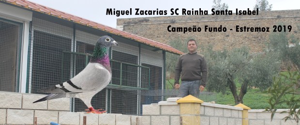 destaque Miguel Zacarias