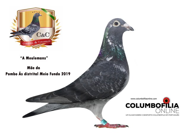 mae do caramelos.jpg