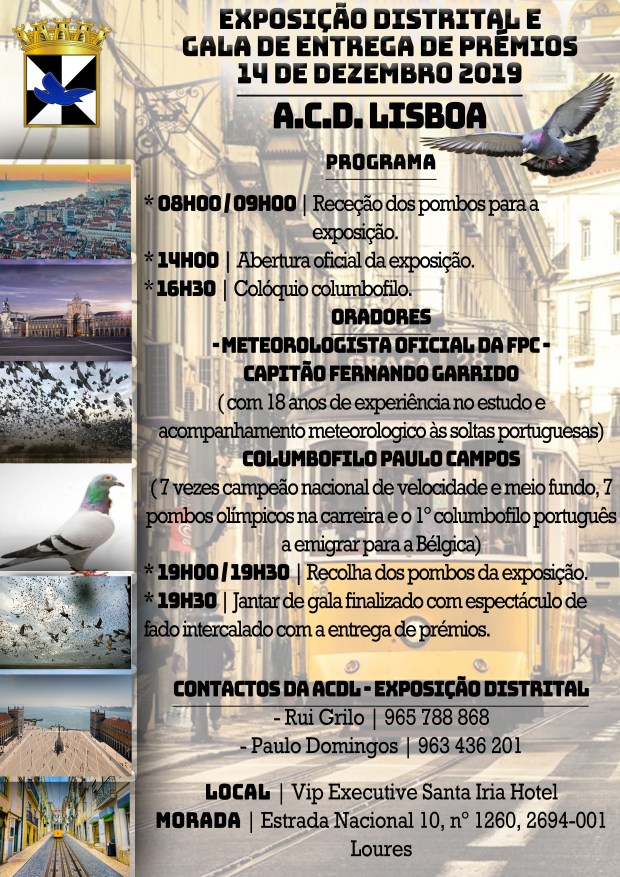 CARTAZ ACDL 2019 - 14 Dezembro