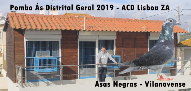 destaque asas negras 2019