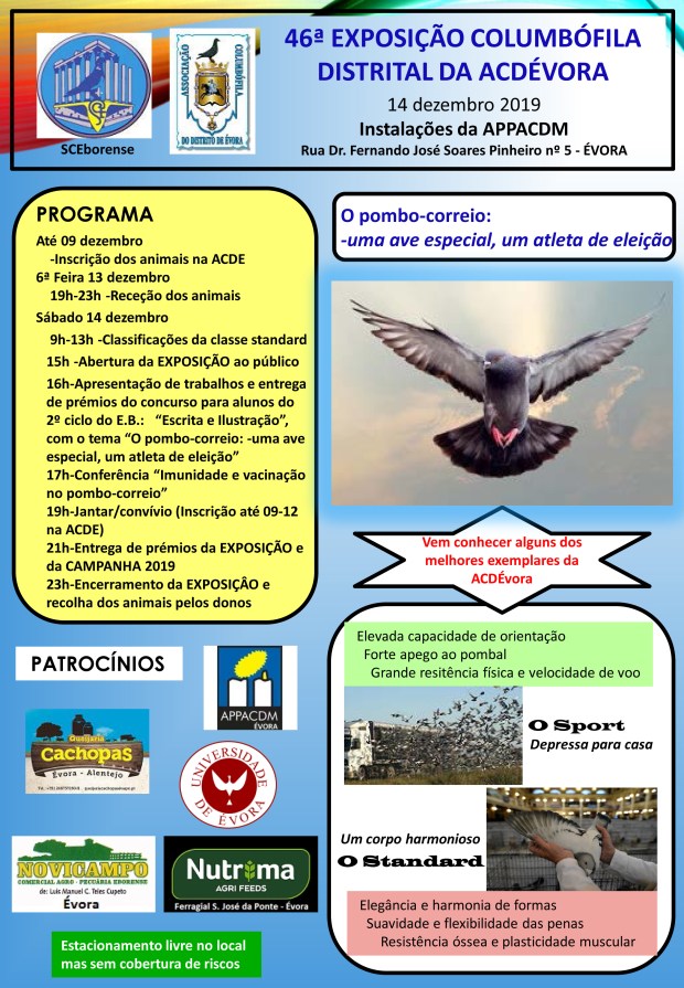 GRUPO COLUMBÓFILO DE CASTANHEIRA