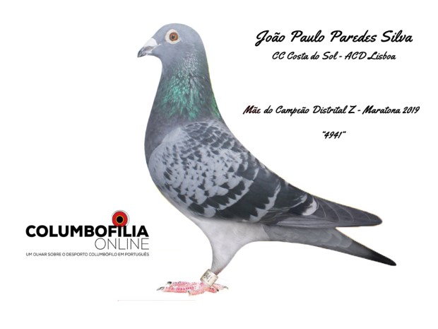 PAI CAMPEAO MARATONA PAREDES 2019.jpg