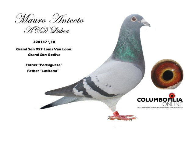 pai da Portuguesa.jpg