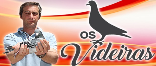 Destaque Miguel Videira 2020