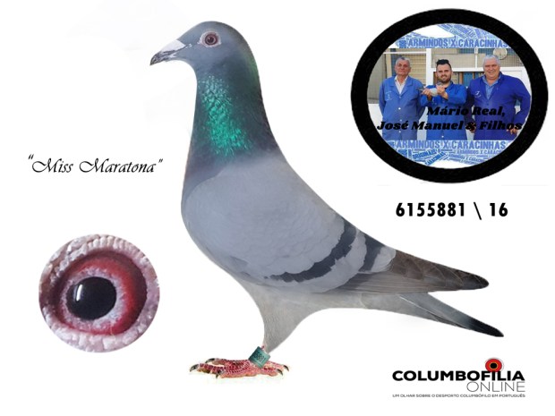 pombo mario real e jose manuel.jpg