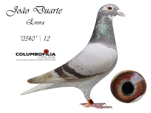 0340 joao duarte