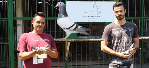 destaque asas charneca 2020