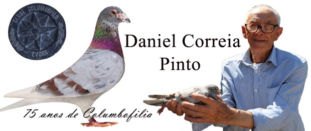 destaque Daniel Pinto