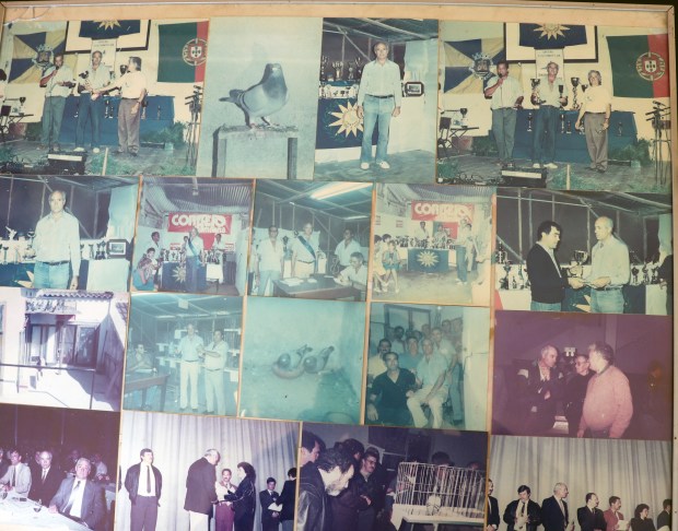 quadro grande verona