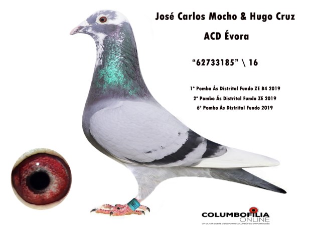 3185 mocho e cruz.jpg