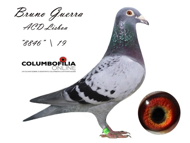 8846 Bruno Guerra.jpg