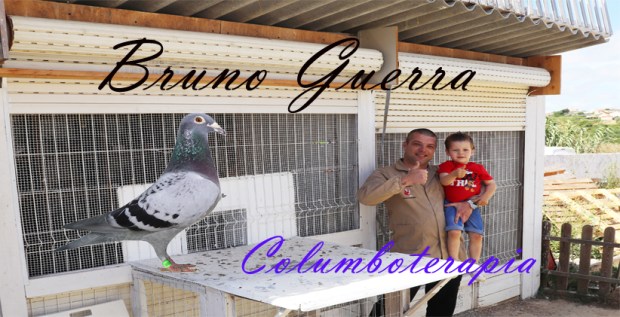 destaque bruno Guerra