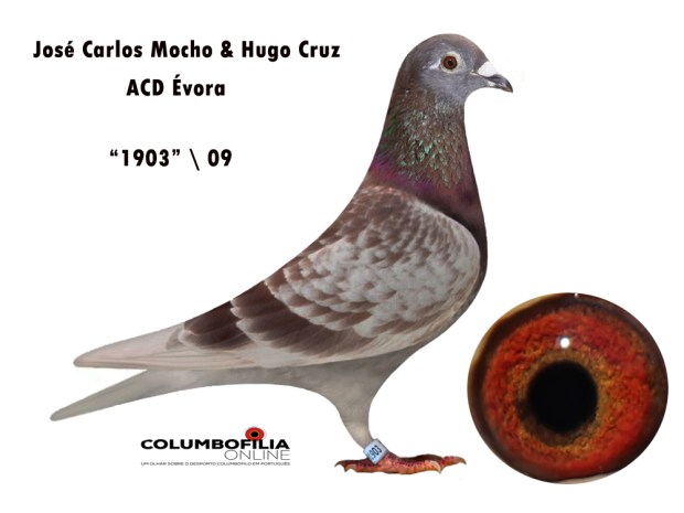 vermelha mocho e cruz.jpg