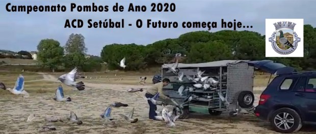 destaque final campeonatos pombos de ano 2020 co