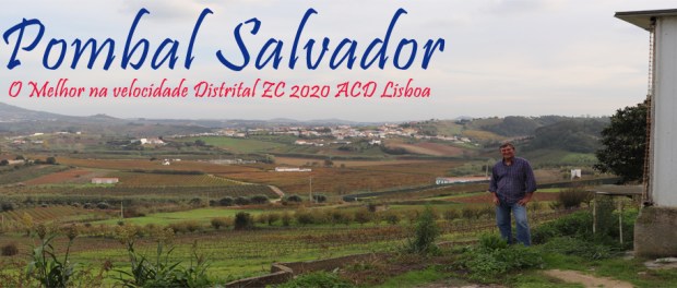 destaque pombal salvador 2020