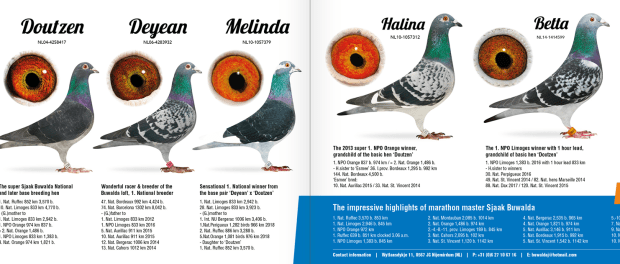 137090051_1057150854764868_7028060859068598807_n-1