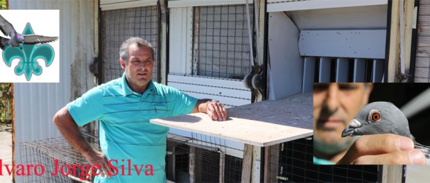 destaque alvaro silva meirinhas